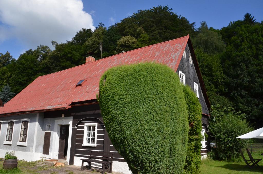 Penzion U Kozy Chřibská 外观 照片
